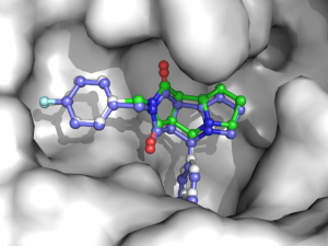Best scoring pose found by Smina in redocking experiment based on PDB file 1OYT.