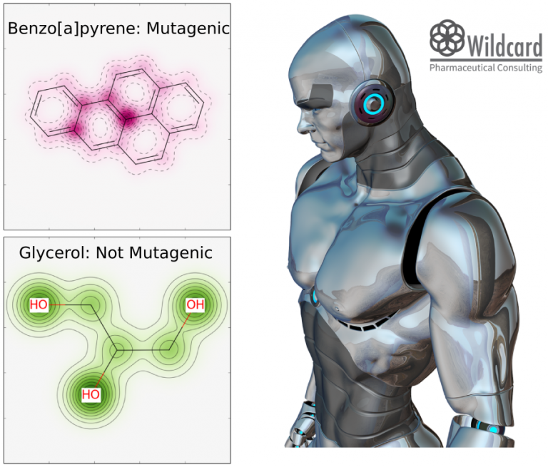 Learn how to map a simple Ames mutagenicity model to molecular features